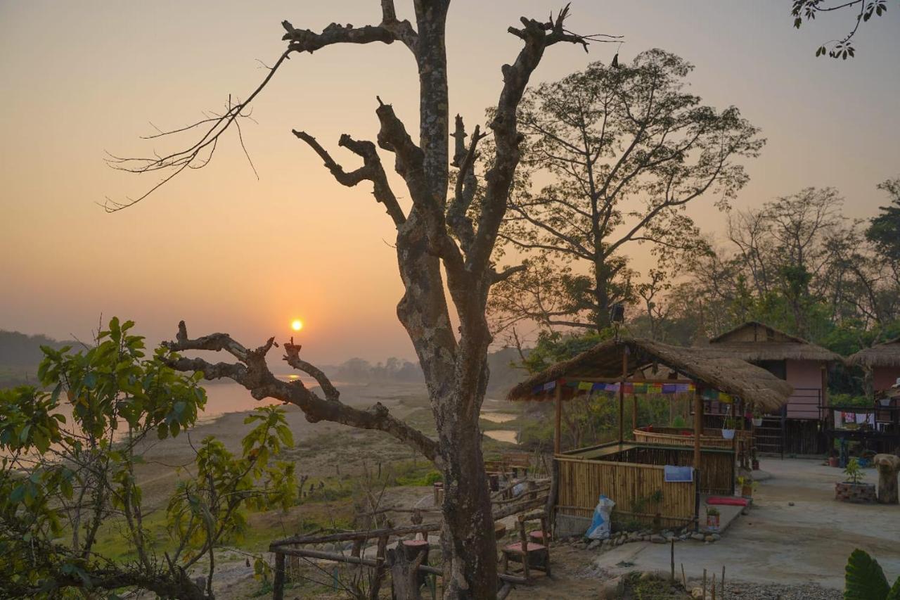 Bamby Chilling House - Feel The Nature Sauraha Buitenkant foto