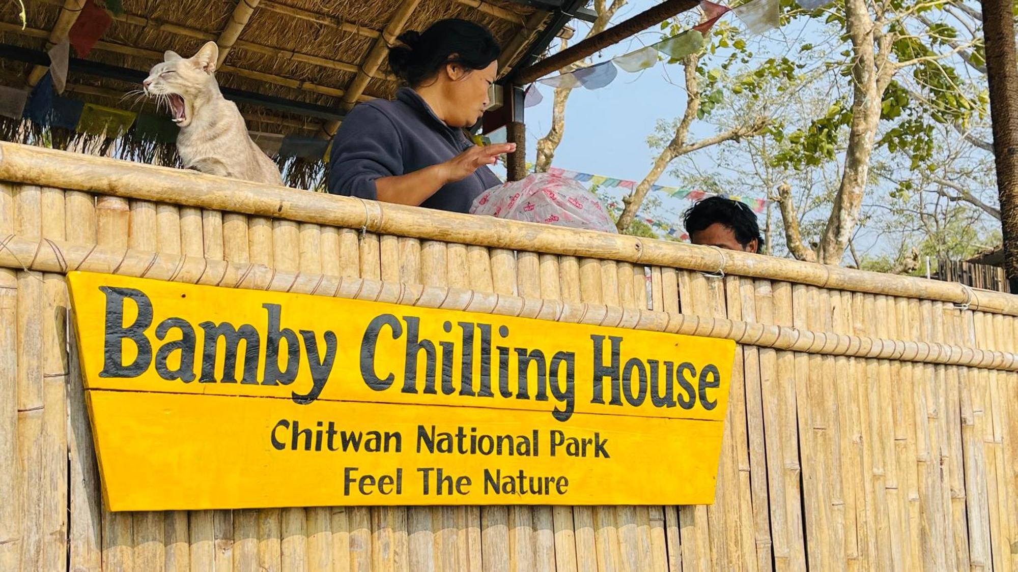 Bamby Chilling House - Feel The Nature Sauraha Buitenkant foto