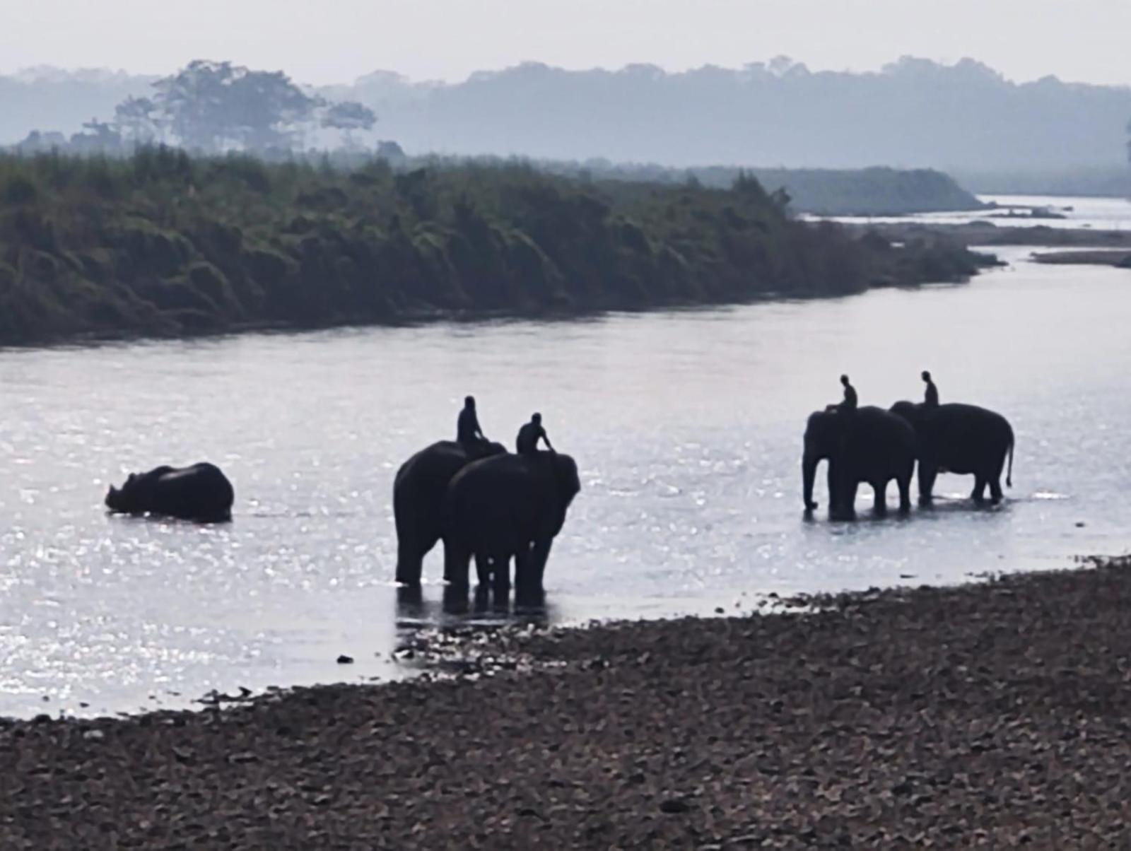 Bamby Chilling House - Feel The Nature Sauraha Buitenkant foto
