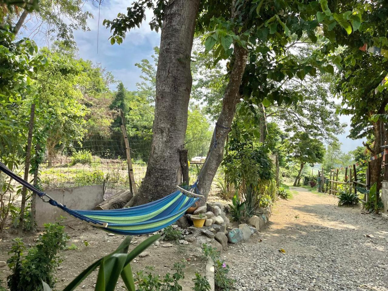 Bamby Chilling House - Feel The Nature Sauraha Buitenkant foto