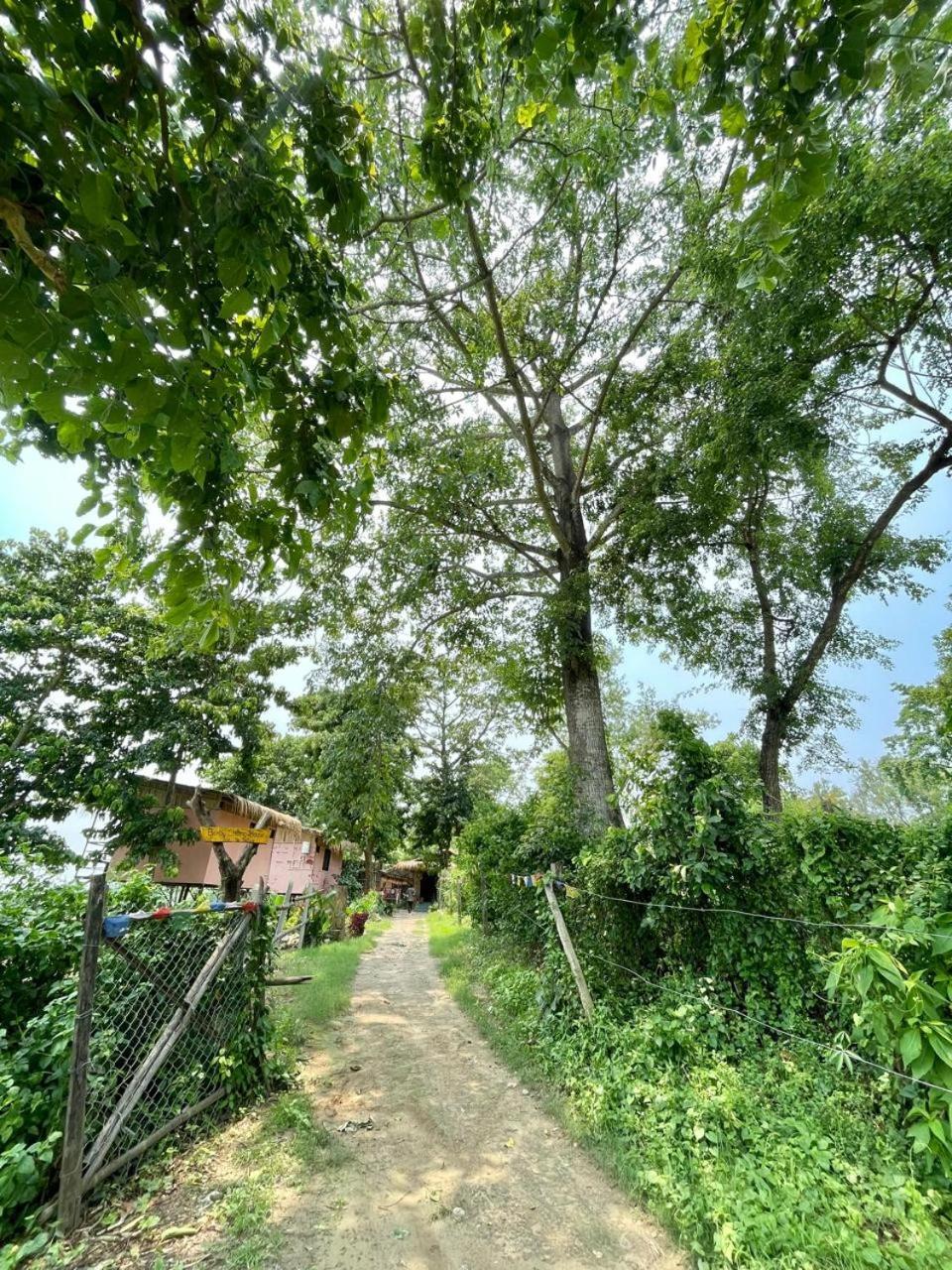 Bamby Chilling House - Feel The Nature Sauraha Buitenkant foto