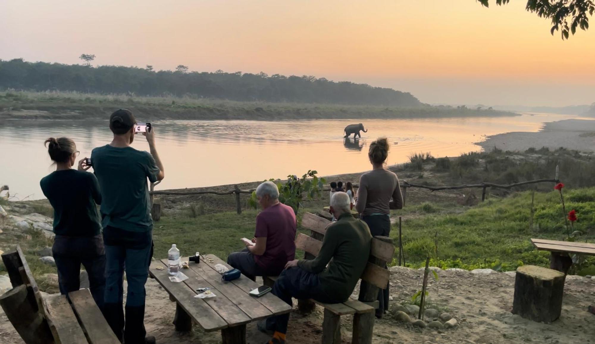 Bamby Chilling House - Feel The Nature Sauraha Buitenkant foto