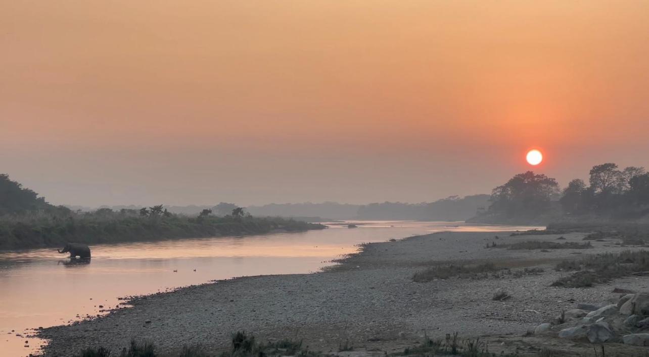 Bamby Chilling House - Feel The Nature Sauraha Buitenkant foto