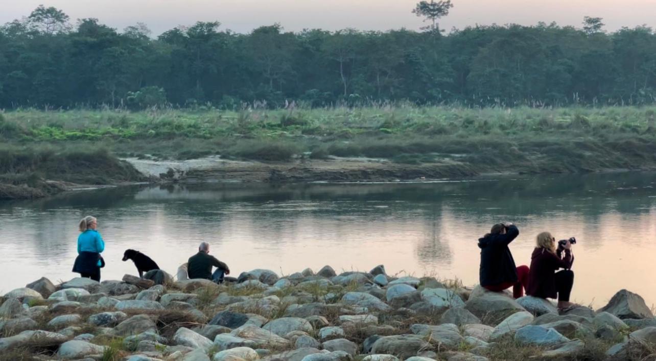 Bamby Chilling House - Feel The Nature Sauraha Buitenkant foto