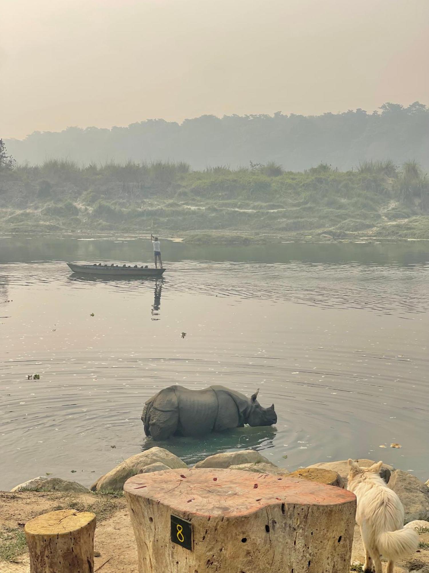 Bamby Chilling House - Feel The Nature Sauraha Buitenkant foto