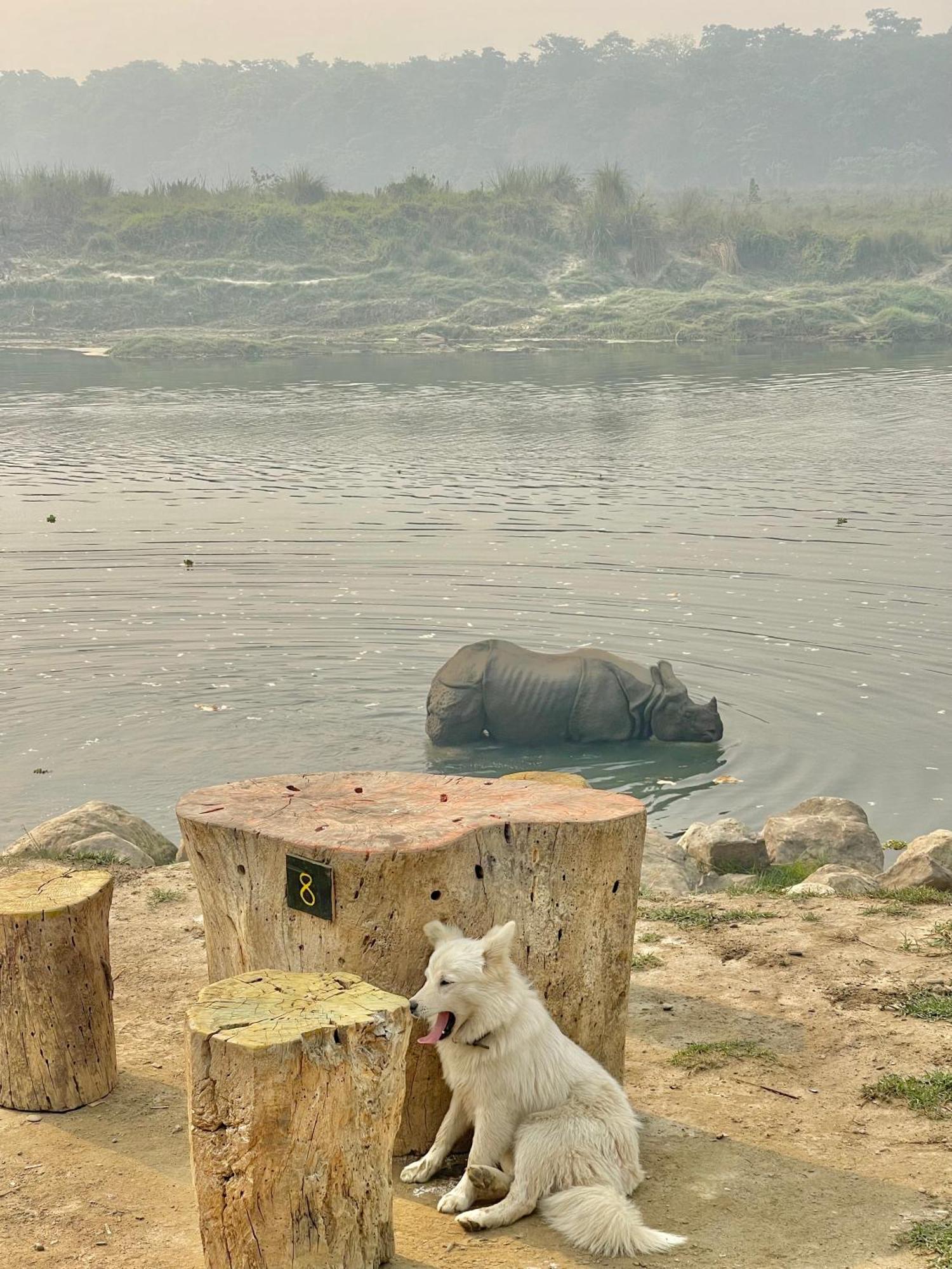 Bamby Chilling House - Feel The Nature Sauraha Buitenkant foto