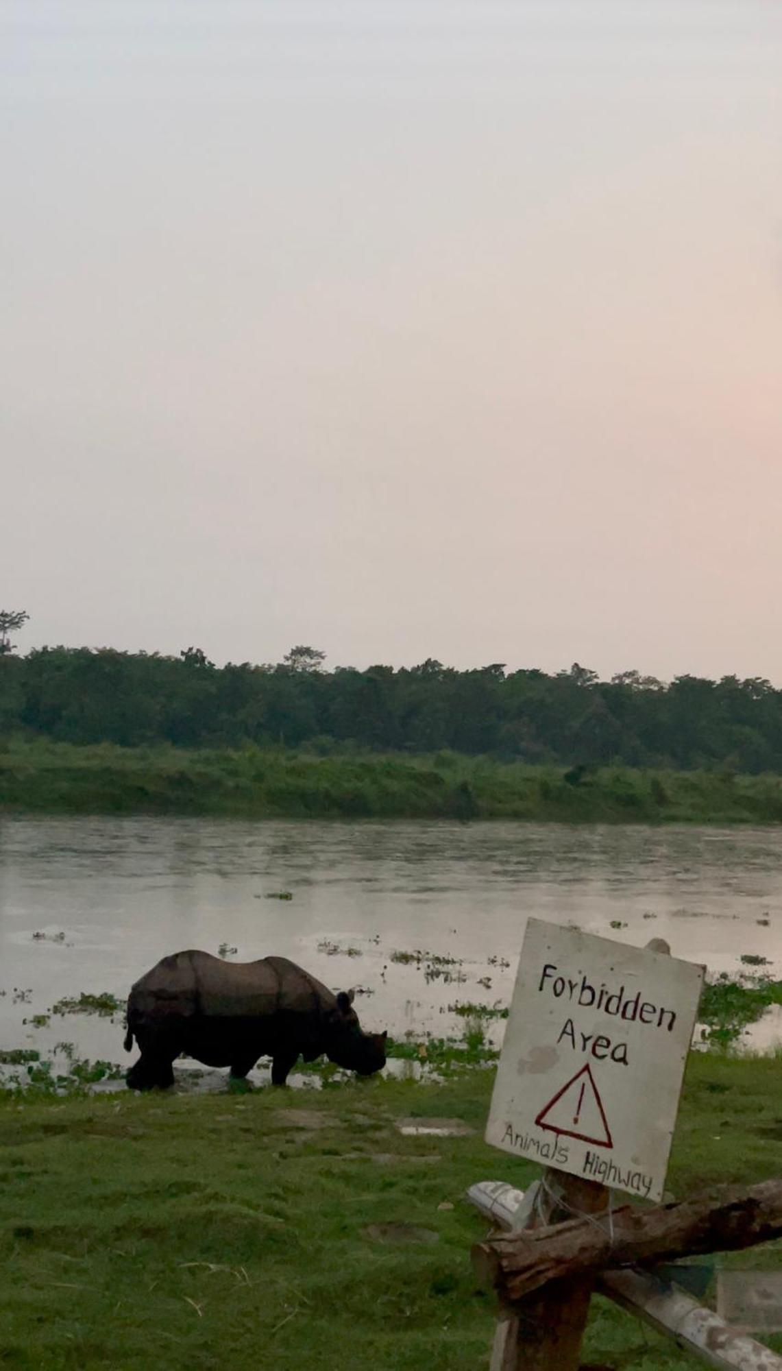 Bamby Chilling House - Feel The Nature Sauraha Buitenkant foto