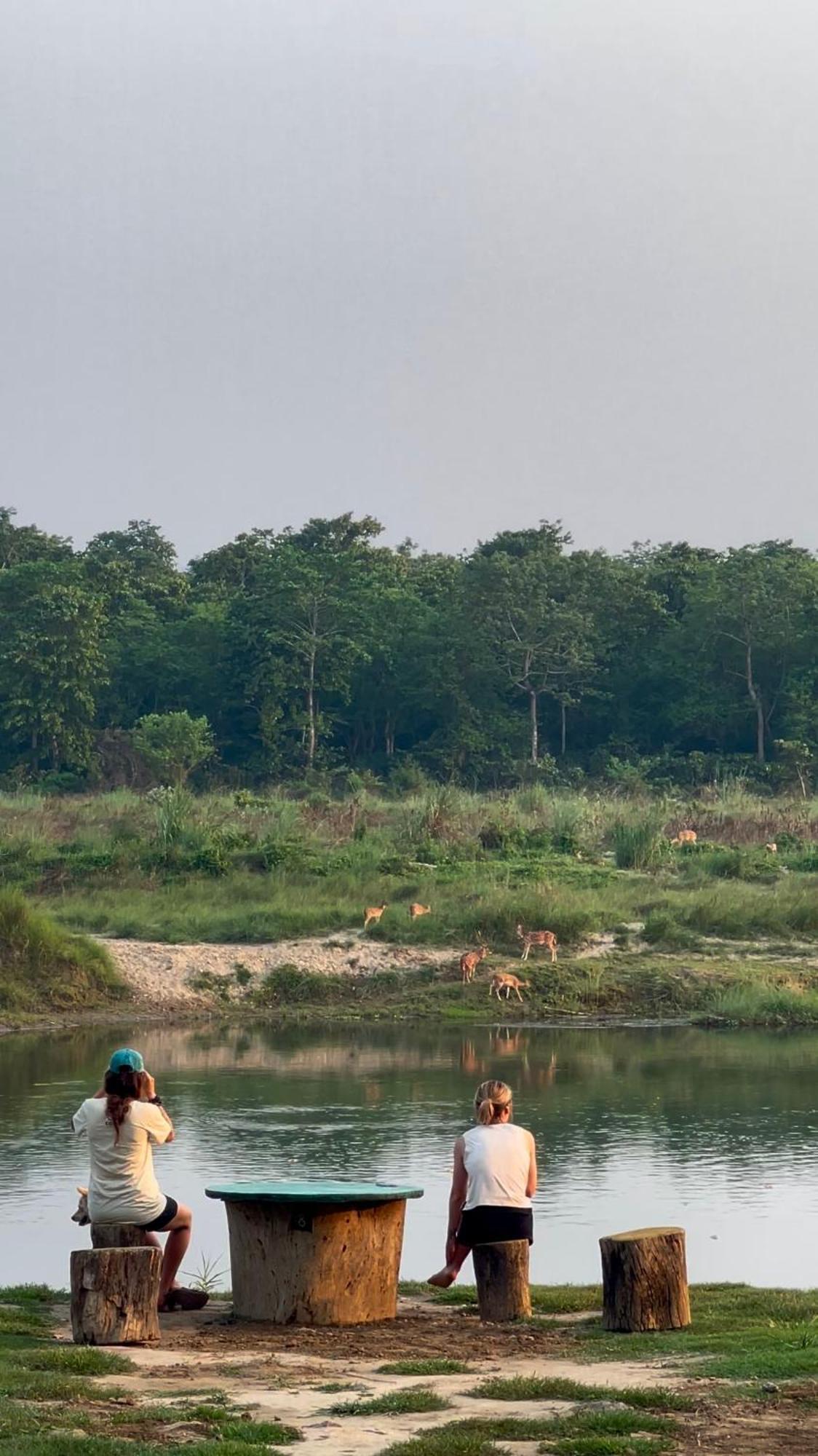 Bamby Chilling House - Feel The Nature Sauraha Buitenkant foto